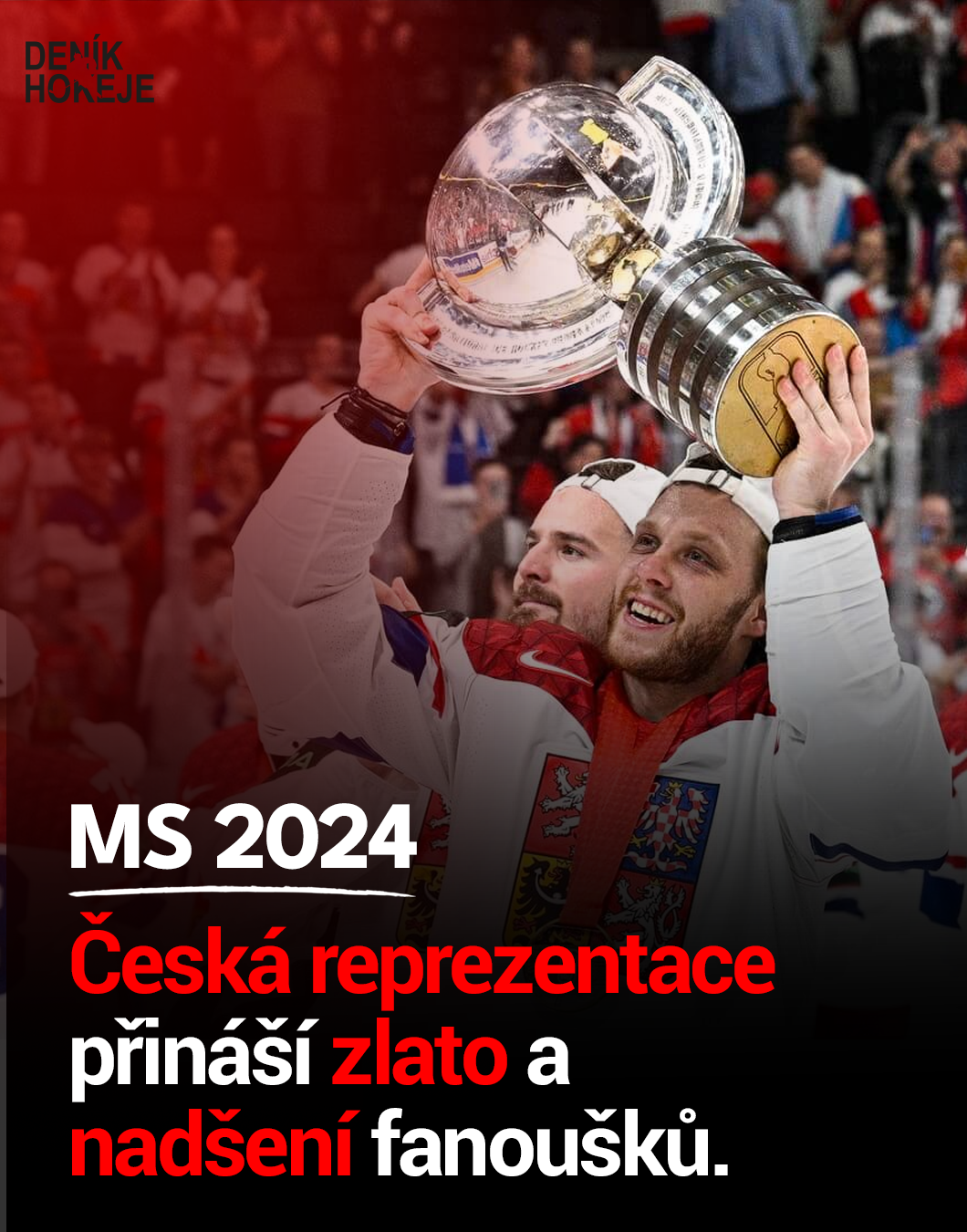 MS 2024